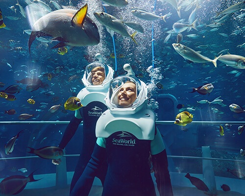 SEAWORLD YAS ISLAND ABU DHABI